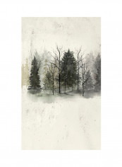Textured Treeline I Poster Multicolour reviews Textured Treeline I Poster Multicolour