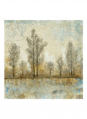 Quiet Nature IV Poster Multicolour
