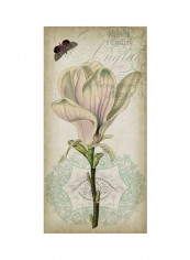 Cartouche & Floral I Poster Multicolour reviews Cartouche & Floral I Poster Multicolour