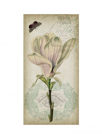 Cartouche & Floral I Poster Multicolour