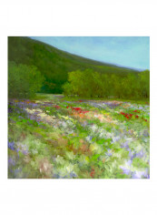 Flowers Of Half Moon Bay II Poster Multicolour reviews Flowers Of Half Moon Bay II Poster Multicolour
