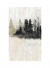Pine Island I Poster Multicolour