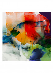 VIbrant Terrain I Poster Multicolour