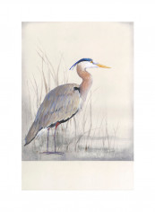 Non-Embellished Keeping Watch I Poster Multicolour