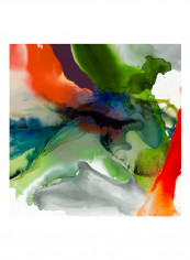 VIbrant Terrain II Poster Multicolour reviews VIbrant Terrain II Poster Multicolour