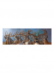 FIVe Bucks Poster Multicolour reviews FIVe Bucks Poster Multicolour