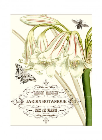 Jardin Botanique I Poster Multicolour