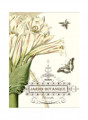 Jardin Botanique II Poster Multicolour reviews Jardin Botanique II Poster Multicolour