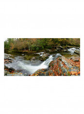 RIVer Panorama Poster Multicolour reviews RIVer Panorama Poster Multicolour