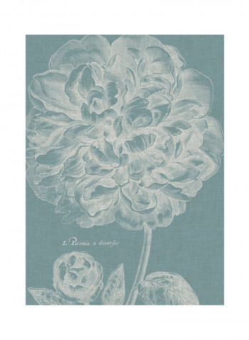 Graceful Peony II Poster Blue