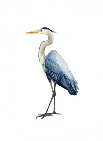 Seabird Heron I Poster Multicolour