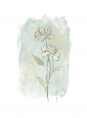 Stone Flower Study II Poster Multicolour reviews Stone Flower Study II Poster Multicolour
