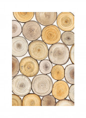 Tree Ring Study II Poster Multicolour reviews Tree Ring Study II Poster Multicolour