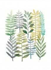 Watercolour Botany I Poster Green/Blue/Grey reviews Watercolour Botany I Poster Green/Blue/Grey