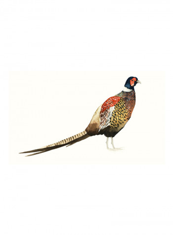 Watercolour Pheasant I Poster Multicolour