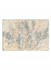 Floral Fan III Poster Multicolour reviews Floral Fan III Poster Multicolour