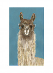 Liama Specs IV Poster Multicolour reviews Liama Specs IV Poster Multicolour