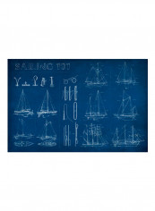 Sailing Infograph Poster Multicolour reviews Sailing Infograph Poster Multicolour