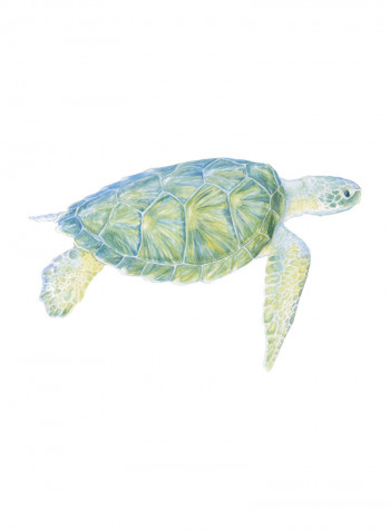 Tranquil Sea Turtle I Poster Green