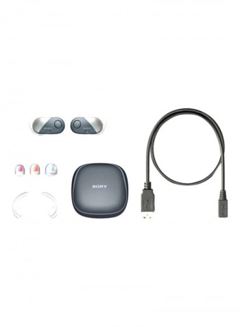 Wireless In-Ear Sports Earbuds WF-SP700N Black/Grey