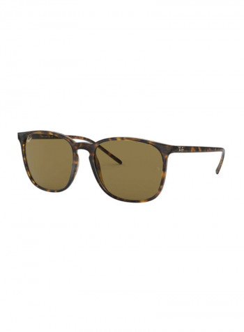 Women's Panto Panto Sunglasses - Lens Size: 56 mm