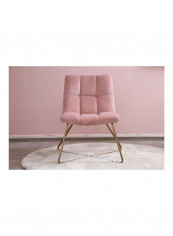 Dining Room Chair Pink