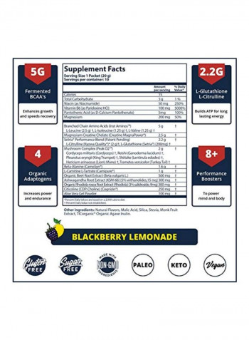 BlackBerry Lemonade Performance Nutrition Dietary Supplement