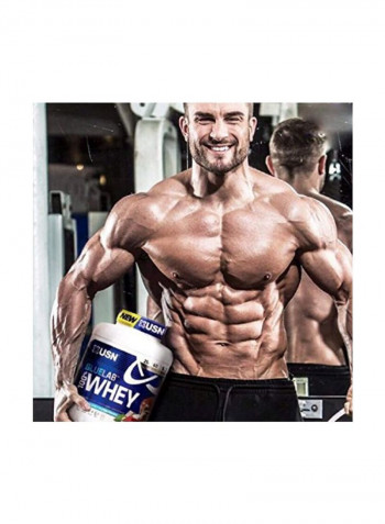 Whey Protein Powder - Wheytella