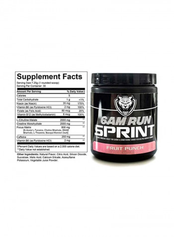 Sprint Dietary Supplement - Fruit Punch