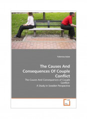 The Causes And Consequences Of Couple Conflict Paperback