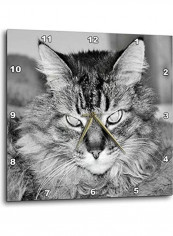 Cat Themed Wall Clock Grey/Black