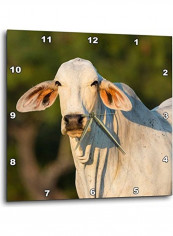 Cow Printed Wall Clock Multicolour 15x15inch