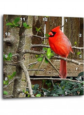 Wall Clock Multicolour 15x15inch