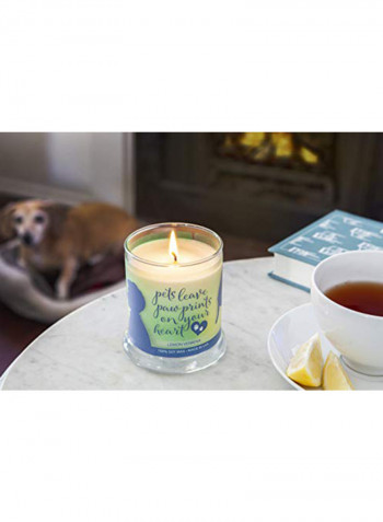 Pet House Sentiments Candle Natural Soy Wax Multicolour 3.9X7.7X3.9 inch