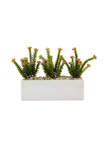 Artificial Sedum Flower With Rectangular Pot White/Red/Green
