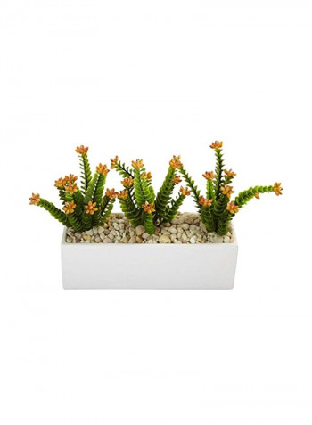 Artificial Sedum Flower With Rectangular Pot White/Red/Green