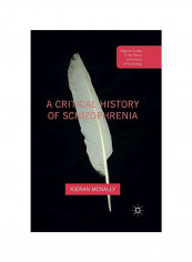 A Critical History Of Schizophrenia Paperback