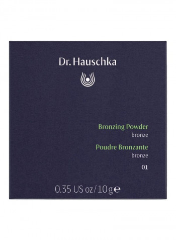 Bronzing Powder 01 Bronze