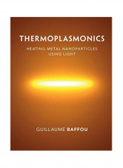 Thermoplasmonics Hardcover