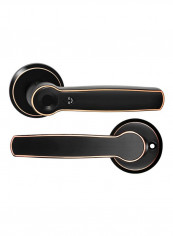 Biometric Fingerprint Handle Lock Black 150x65x25millimeter