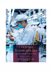 Cultural Anthropology: Global Forces, Local Lives Paperback 3