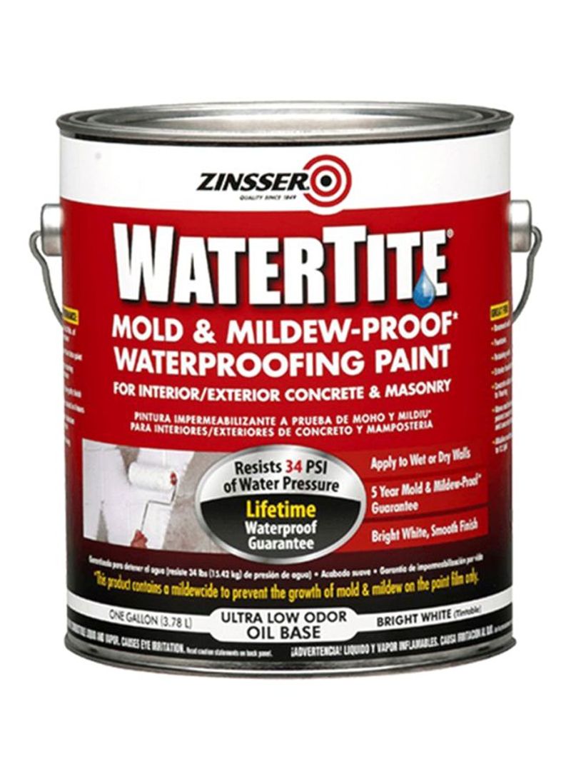 Watertite Mold And Mildew Proof Waterproofing Paint Bright White 3.78L