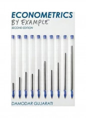 Econometrics: By Example Paperback 2