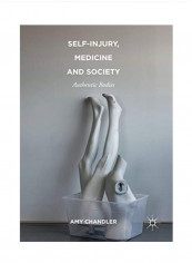 Self Injury, Medicine And Society Paperback 1