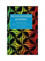 When Critical Multiculturalism Meets Mathematics Hardcover