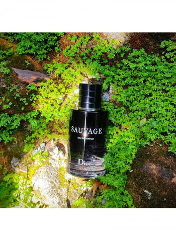 Sauvage Perfume 100ml