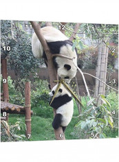 Baby Panda Learns To Climb Tree In Sichuan Province Wall Clock Multicolour 15x15inch
