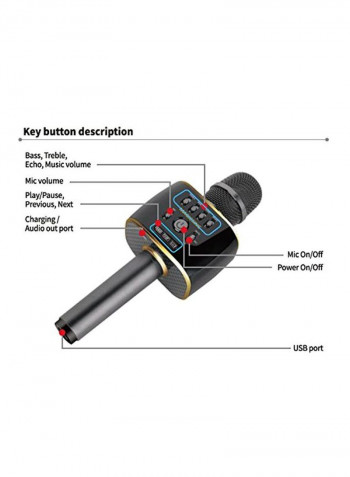 Mobile Karaoke Microphone With Mini Soundbar MP30 Black/Gold