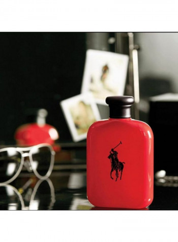 Polo Intense EDT 125ml