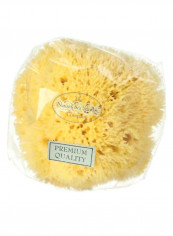 Honeycomb Sea Sponge Yellow 4.5 x 5inch